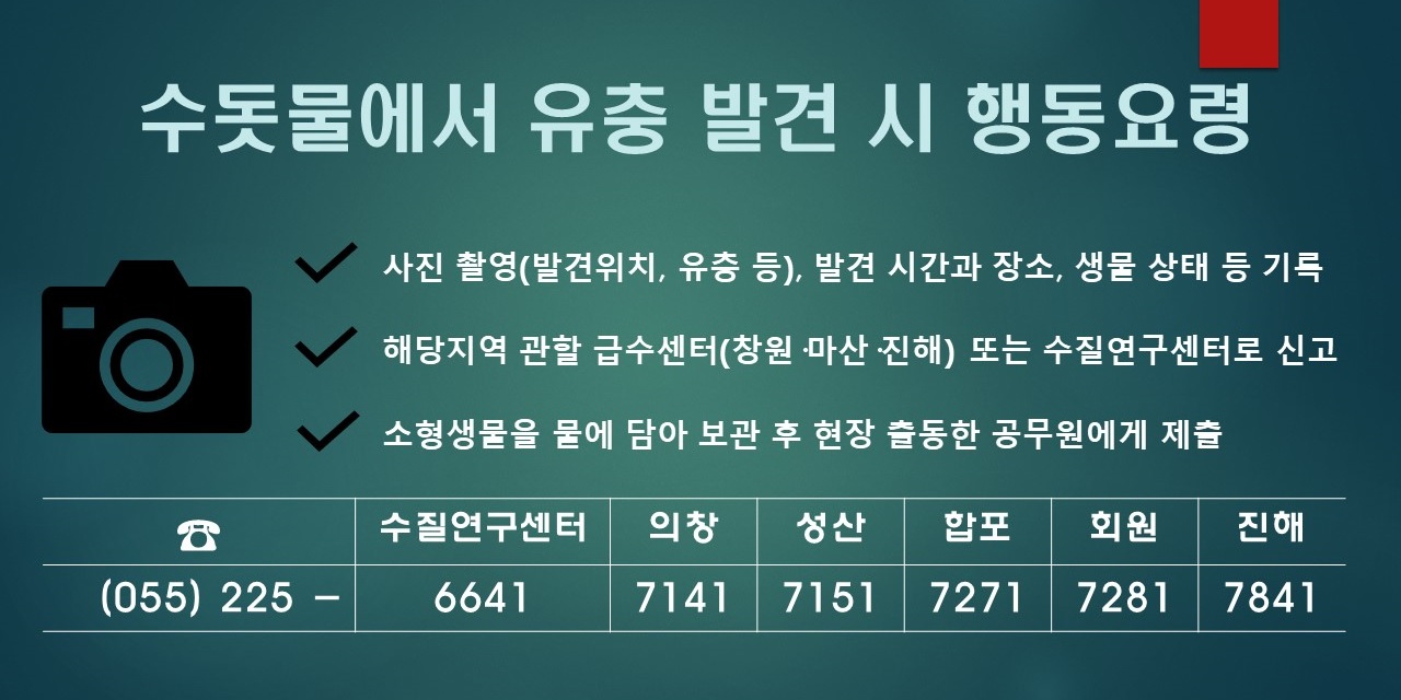 수돗물에서 유충 발견 시 행동요령